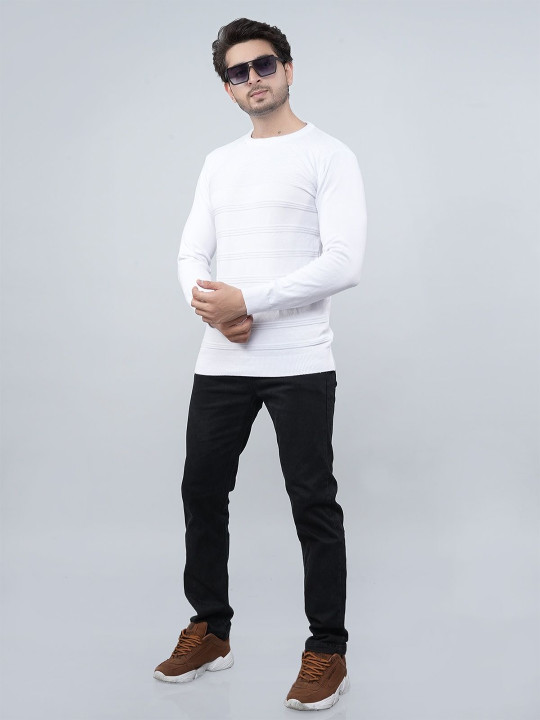 FEVERFEW Men Striped Self Design Round Neck Pullover