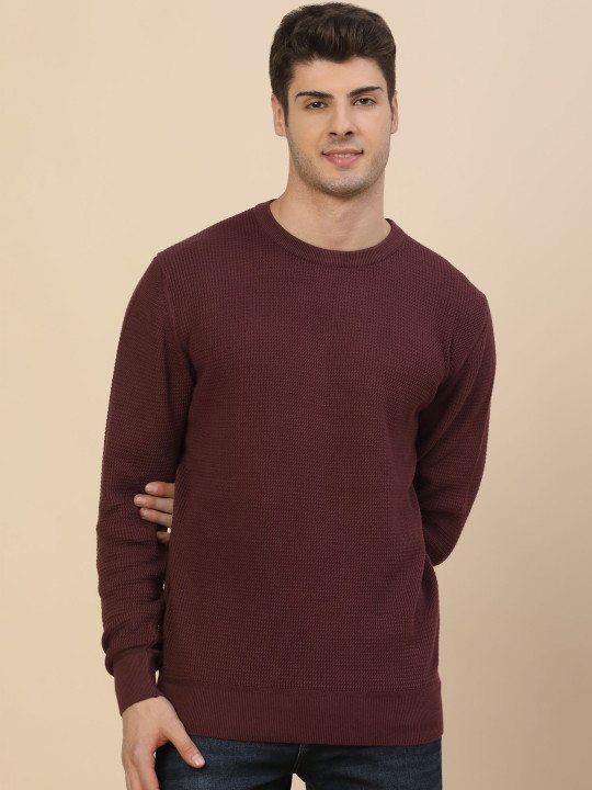 Cantabil Men Pullover