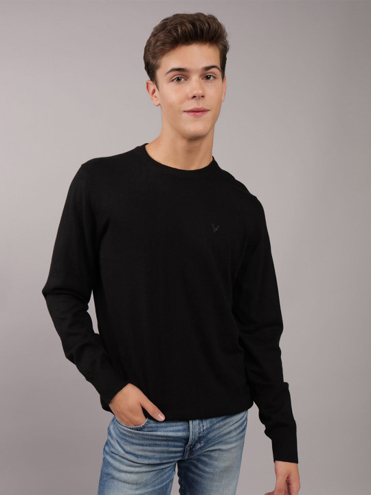 AMERICAN EAGLE OUTFITTERS Men Solid Round Neck Pullover