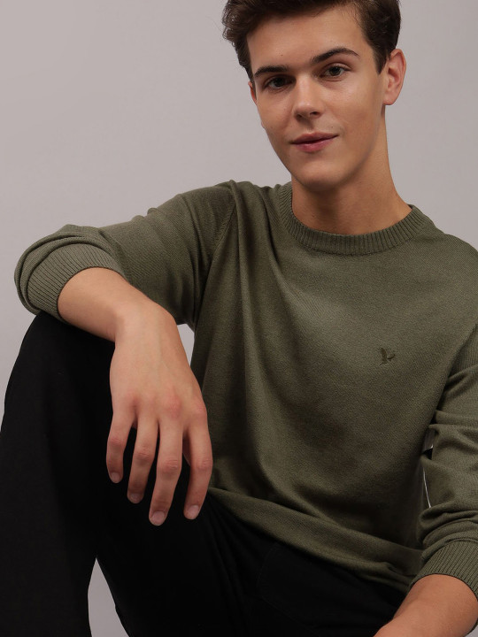AMERICAN EAGLE OUTFITTERS Men Round Neck Long Sleeves Pullover