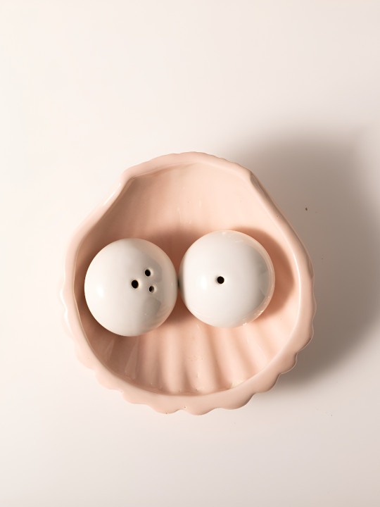 THE INDIAN ROSE Blooms and Tales Pink & White Ceramic Salt and Pepper Shakers