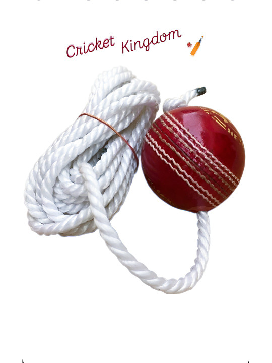 HackerX Pebble Leather Sports Cricket Hanging Ball