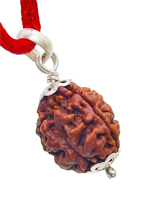 Divine souvenirs Spherical Rudraksha Pendants