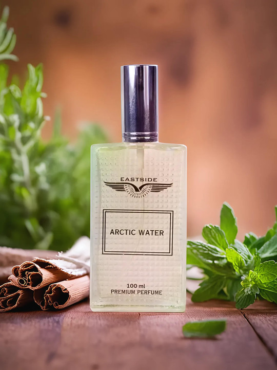 Men Arctic Water Perfume 100ml