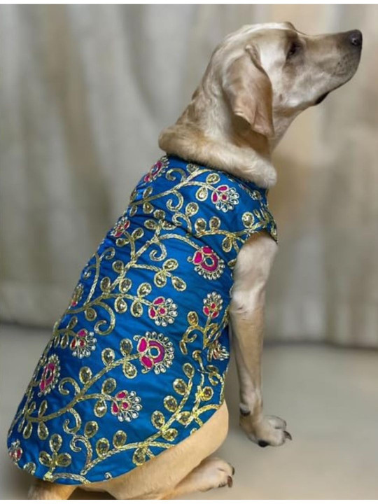 Lulala Traditional Ethnic Indian Embroidered Dog Dresses