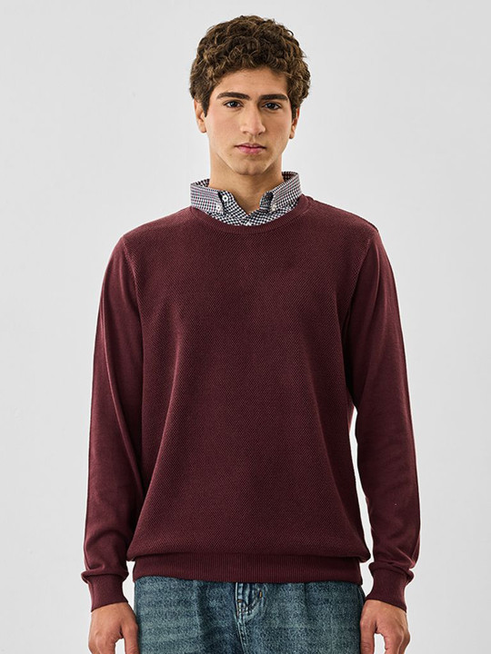 Snitch Men Pullover