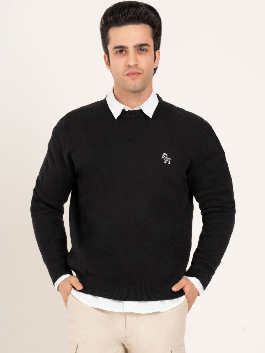 Red Tape Men Pullover with Embroidered Detail