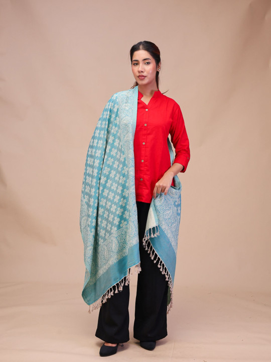 Moda Rapido Women Embroidered Scarf