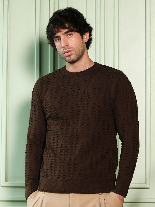 Campus Sutra Men Pullover with Fuzzy Detail