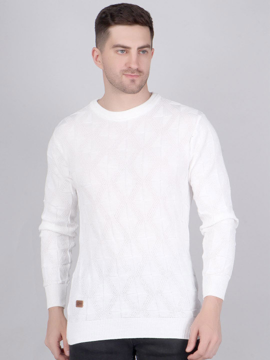 Roadster The Lifestyle Co Men Textured Knit High-Neck Sweater