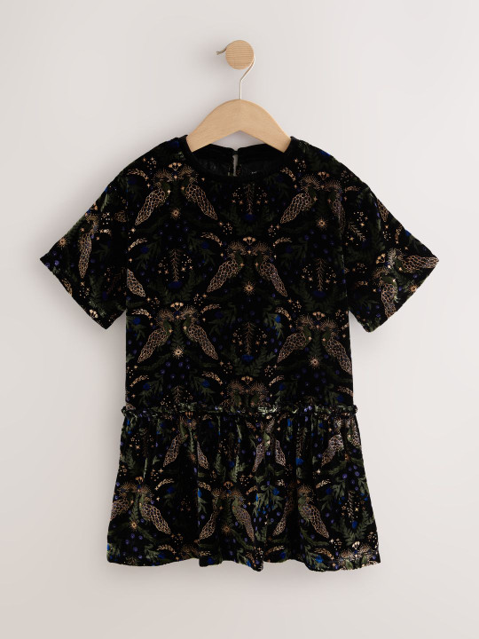 NEXT Floral Printed A-Line Velvet Dress