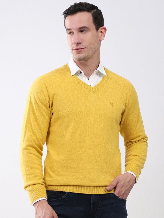 Monte Carlo Self Design V Neck Full Sleeve Pullover