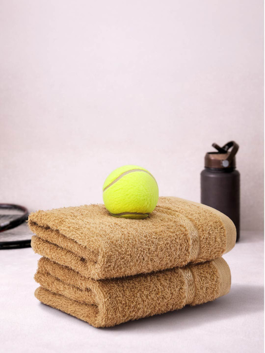 Welspun Brown Cotton 380 GSM 2-Pcs Hand Towels
