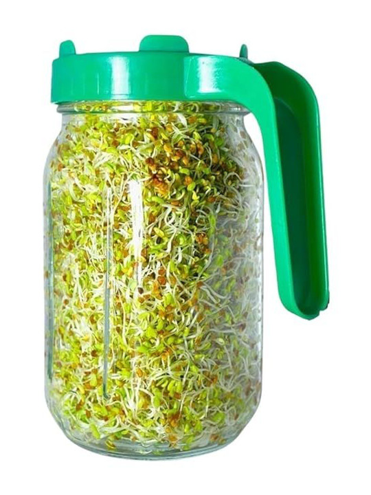 Virtuous Green 2026 Glass Easy to Clean Jar Container