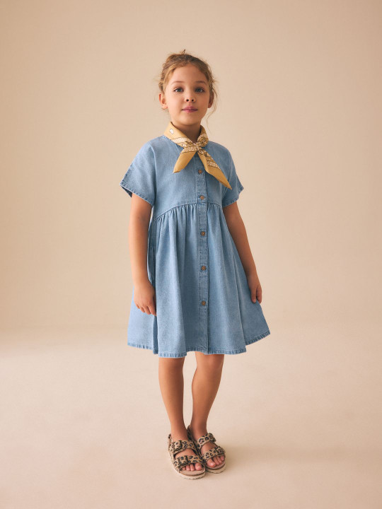 NEXT Denim Button Through Fit & Flare Dress