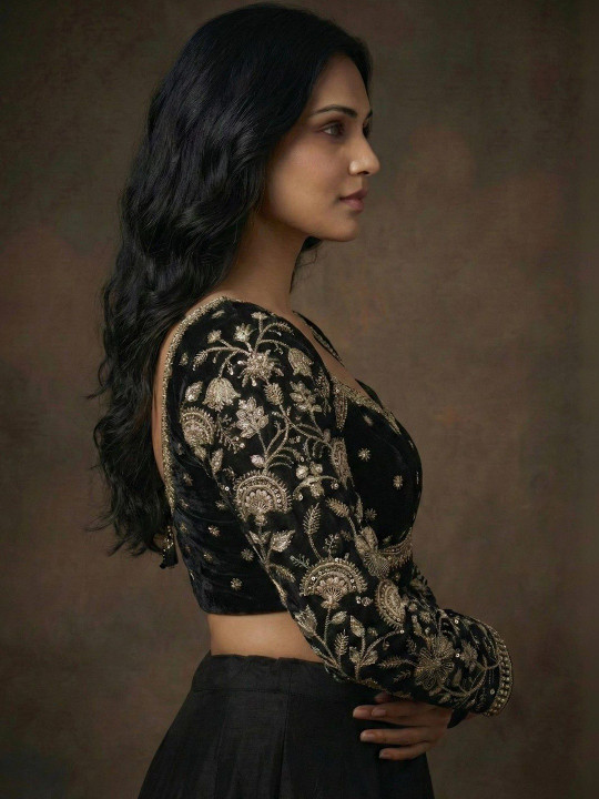 RAGHUVEER CREATION Embroidered Zari Saree Blouse