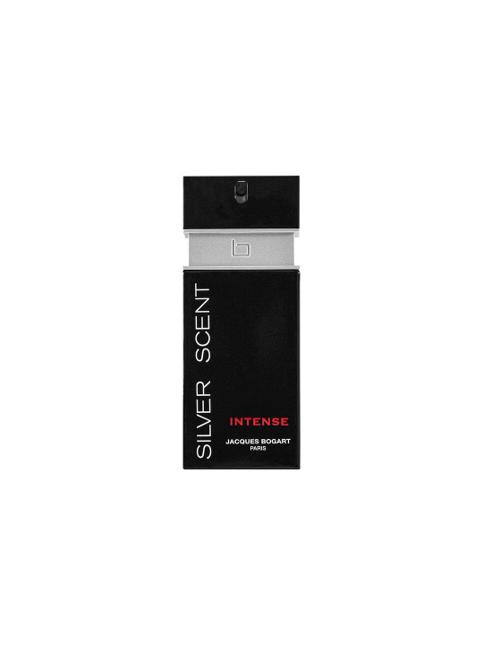 Men Silver Scent Intense EDT