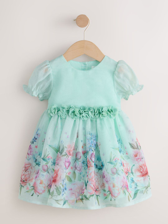 NEXT Floral Print Puff Sleeve Applique A-Line Dress
