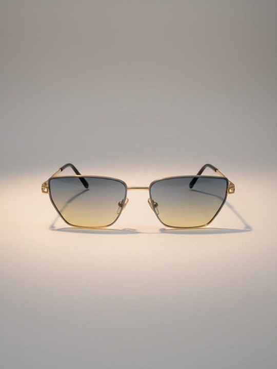 Awaglamm Fashion Women Grey Lens & Gold-Toned Other Sunglasses with