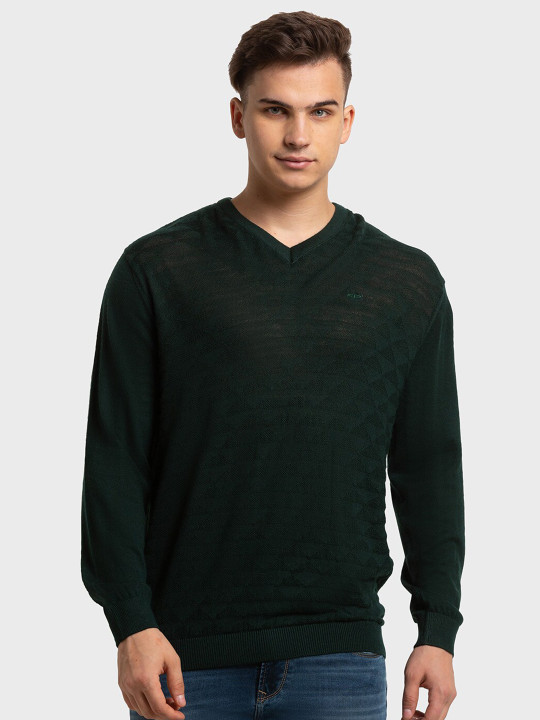 ColorPlus Men Self Design V-Neck Pullover Sweater