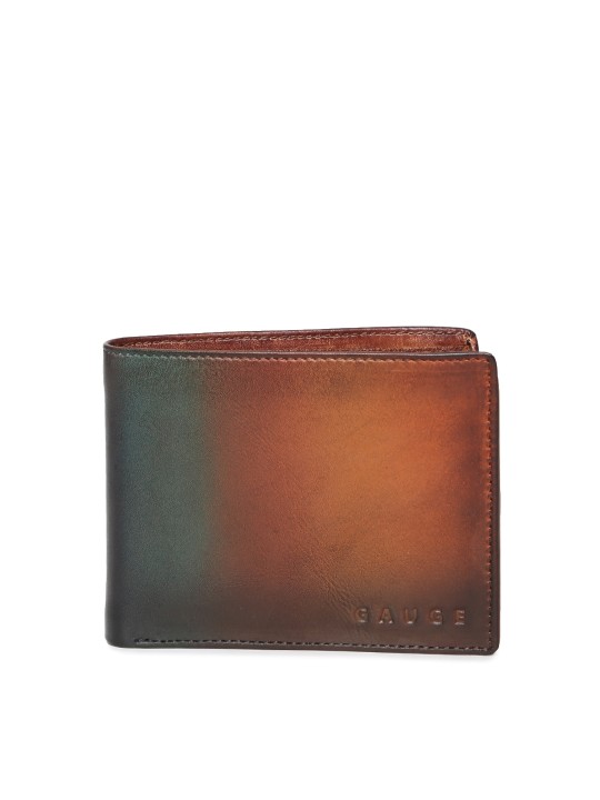 Men Brown & Blue Colourblocked Two Fold Wallet