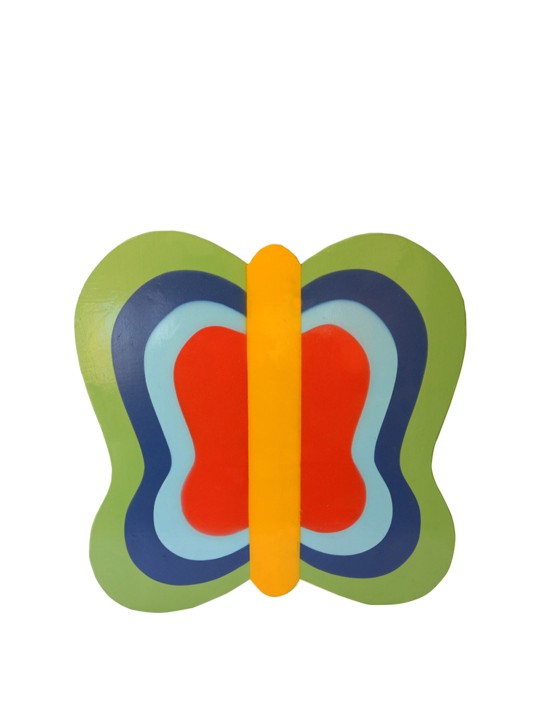 Kids Set Of One Wooden Butterfly Balance Board