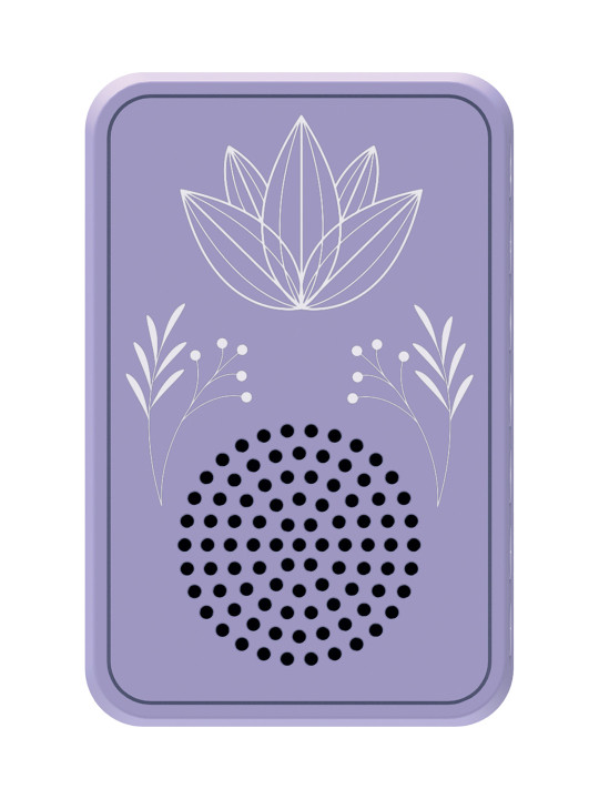 Saregama Carvaan Wellness Plug Play Music Player Speaker