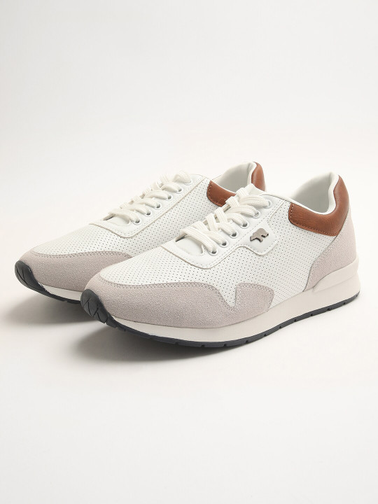 THE BEAR HOUSE Men Colourblocked Sneakers