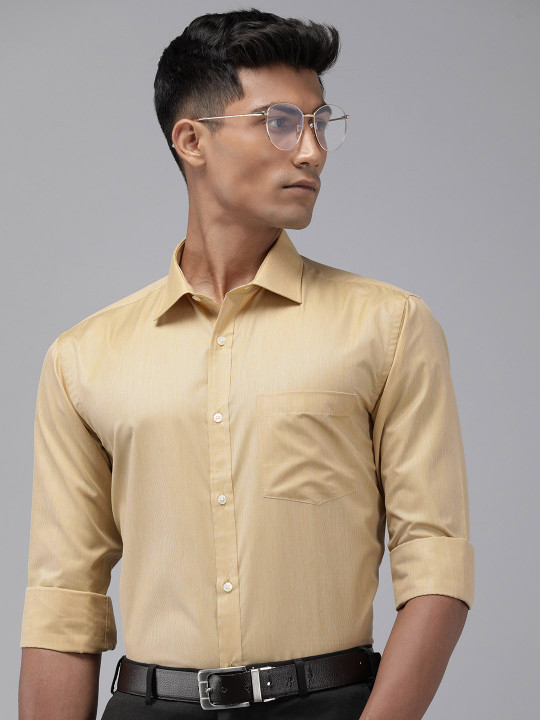 Park Avenue Slim Fit Pinstripes Opaque Formal Shirt