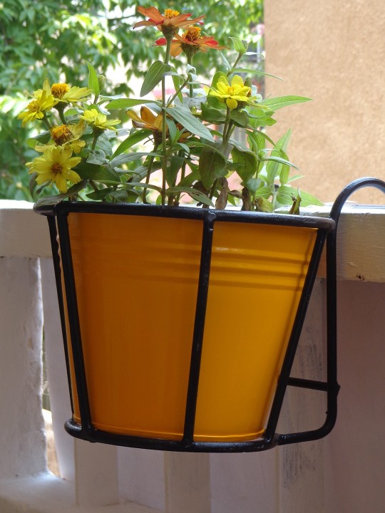 Yellow Black Wall-Mounted Basket With Yellow Planter