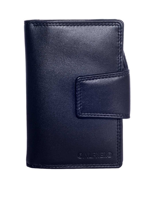 Women Black Solid Two Fold Wallet