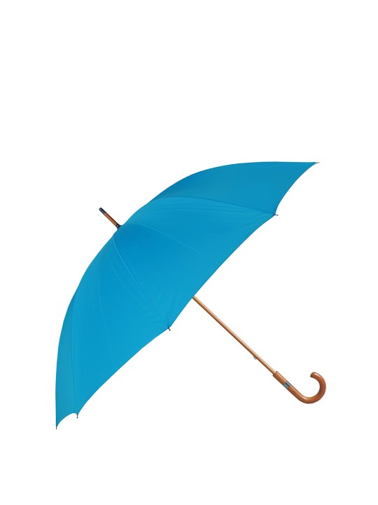 Blue Solid Umbrella