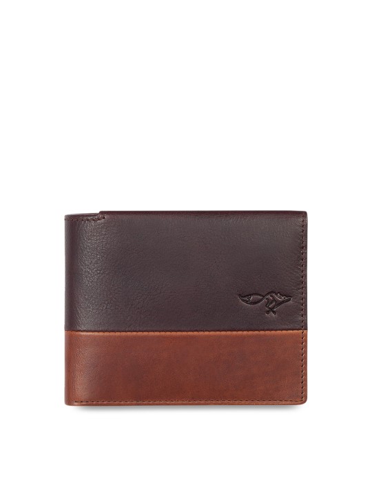 Men Brown Solid Two Fold Wallet