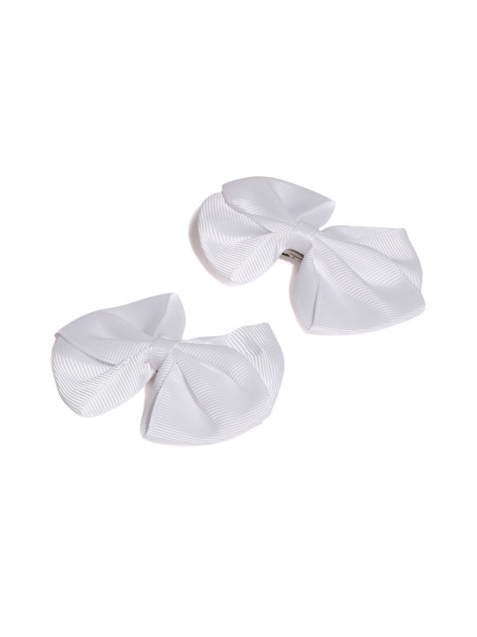 Set of 2 Alligator Hair Clip