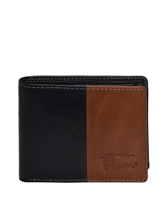 Men Black & Tan Brown Colourblocked Leather Two Fold Wallet