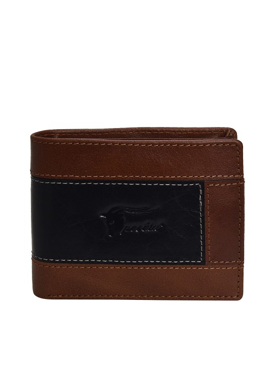 Men Black & Tan Brown Colourblocked Leather Two Fold Wallet