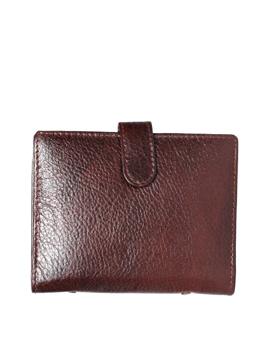 Women Brown Leather Solid Card Holder