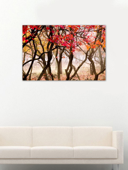 Red Yellow Brown Autumn Wall Art Buy Online In Mauritius At Mauritius Desertcart Com Productid 133029258