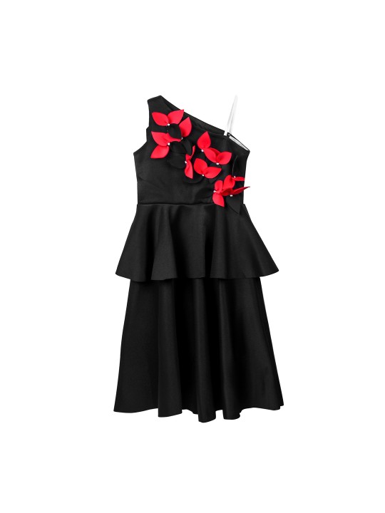 Girls Black Embellished Fit and Flare Dress 3-4Y