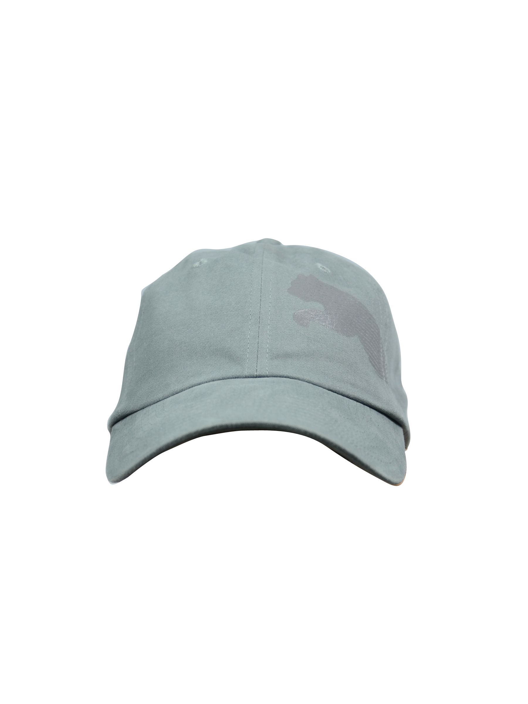 Puma Unisex Stripe Cat Steel Grey Cap