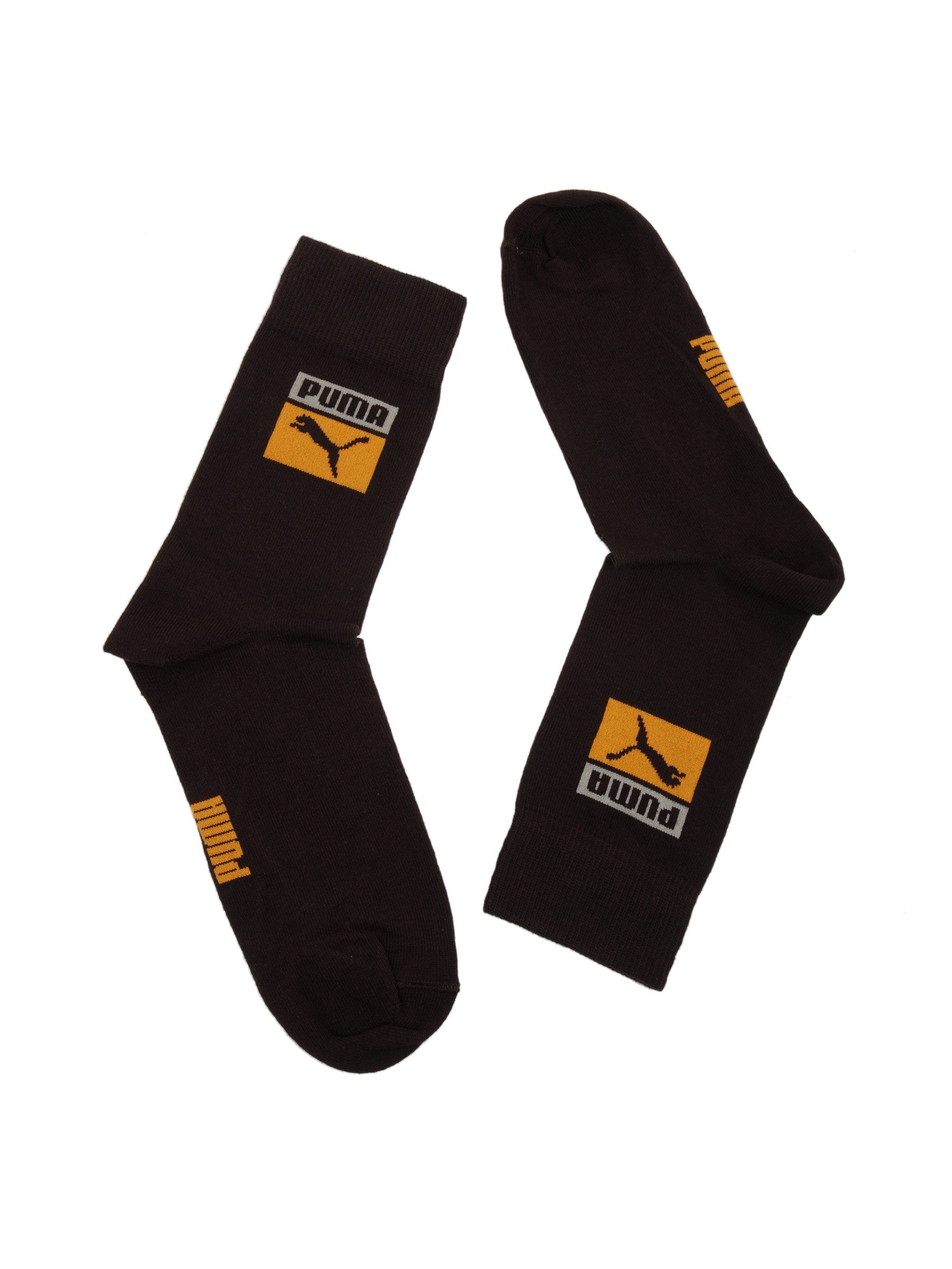Puma Unisex FTPA Brown Socks