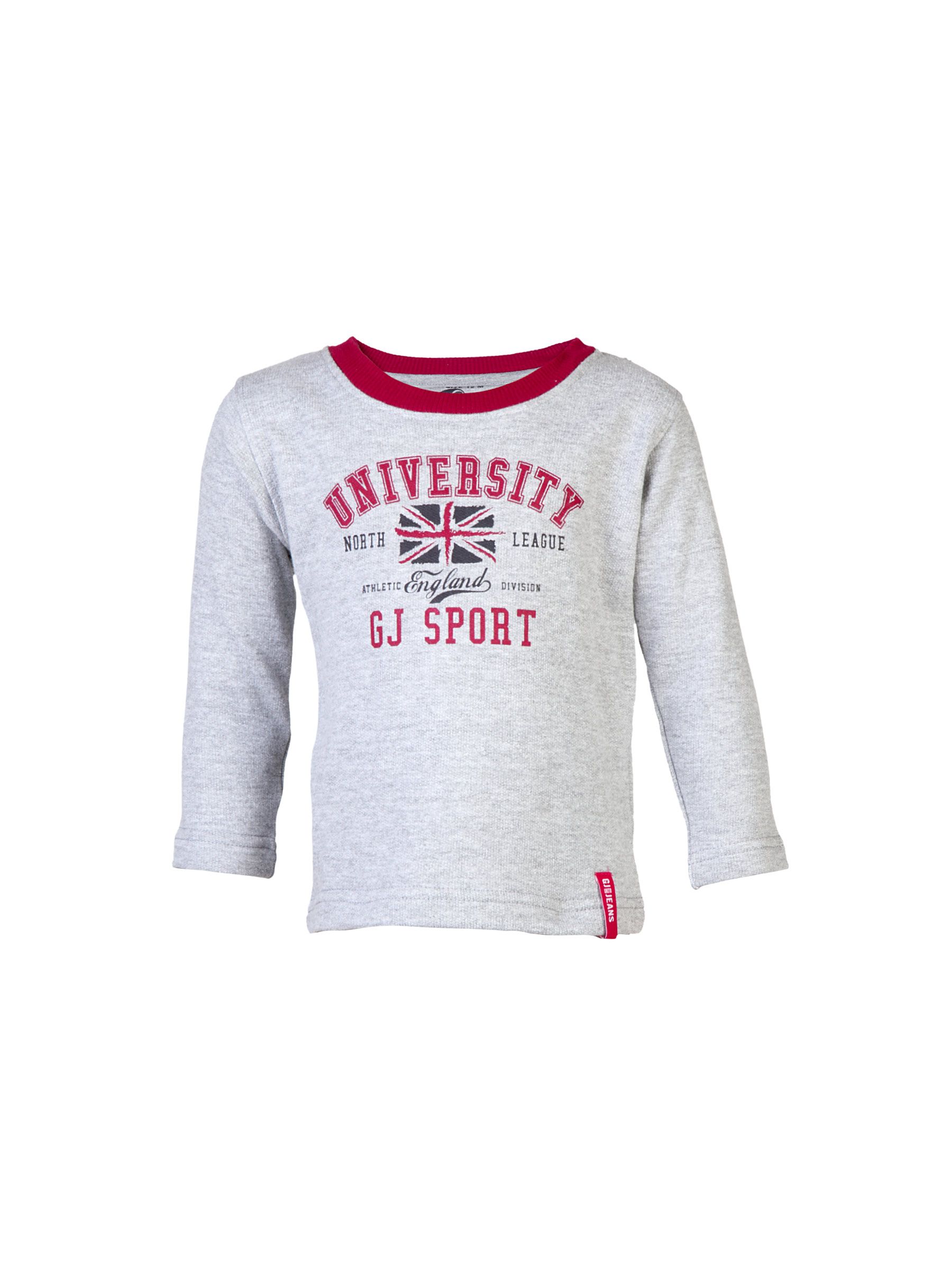 Gini and Jony Kids Boys Printed Grey Sweatshirts