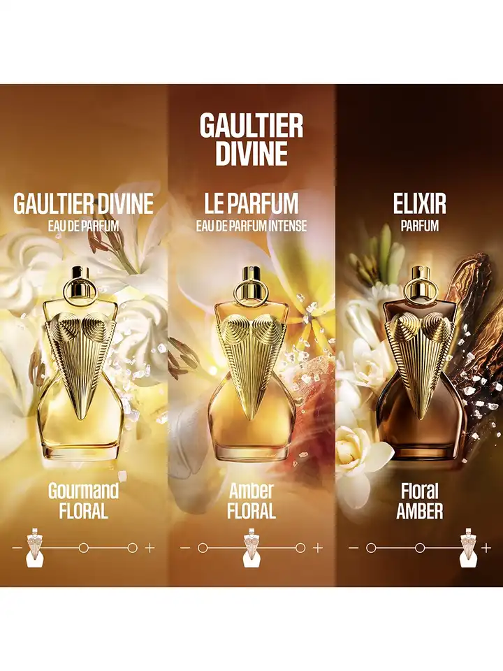 Buy Jean Paul Gaultier Women Gaultier Divine Le Parfum - 100 ml