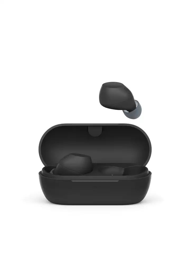 Buy SONY WF-C710N Noise Cancellation Wireless Earbuds with AI Call