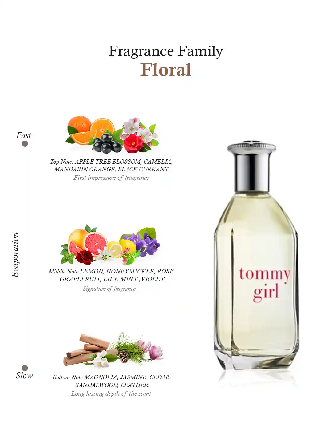 Indiamart Tommy Girl Perfume 50ml Price Women's TOMMY GIRL EDT