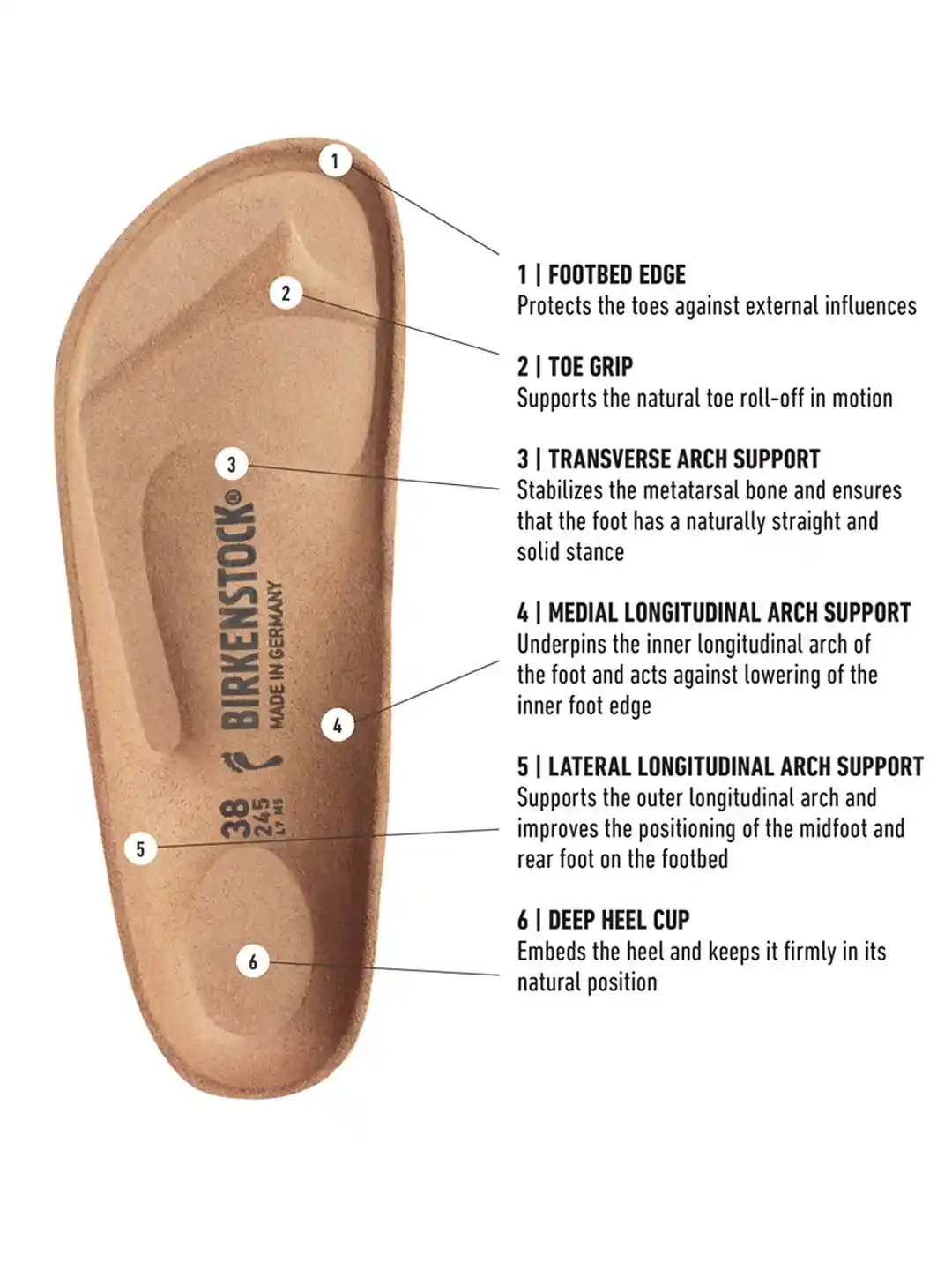 Buy Birkenstock Arizona Soft Footbed Taupe Narrow Width Suede
