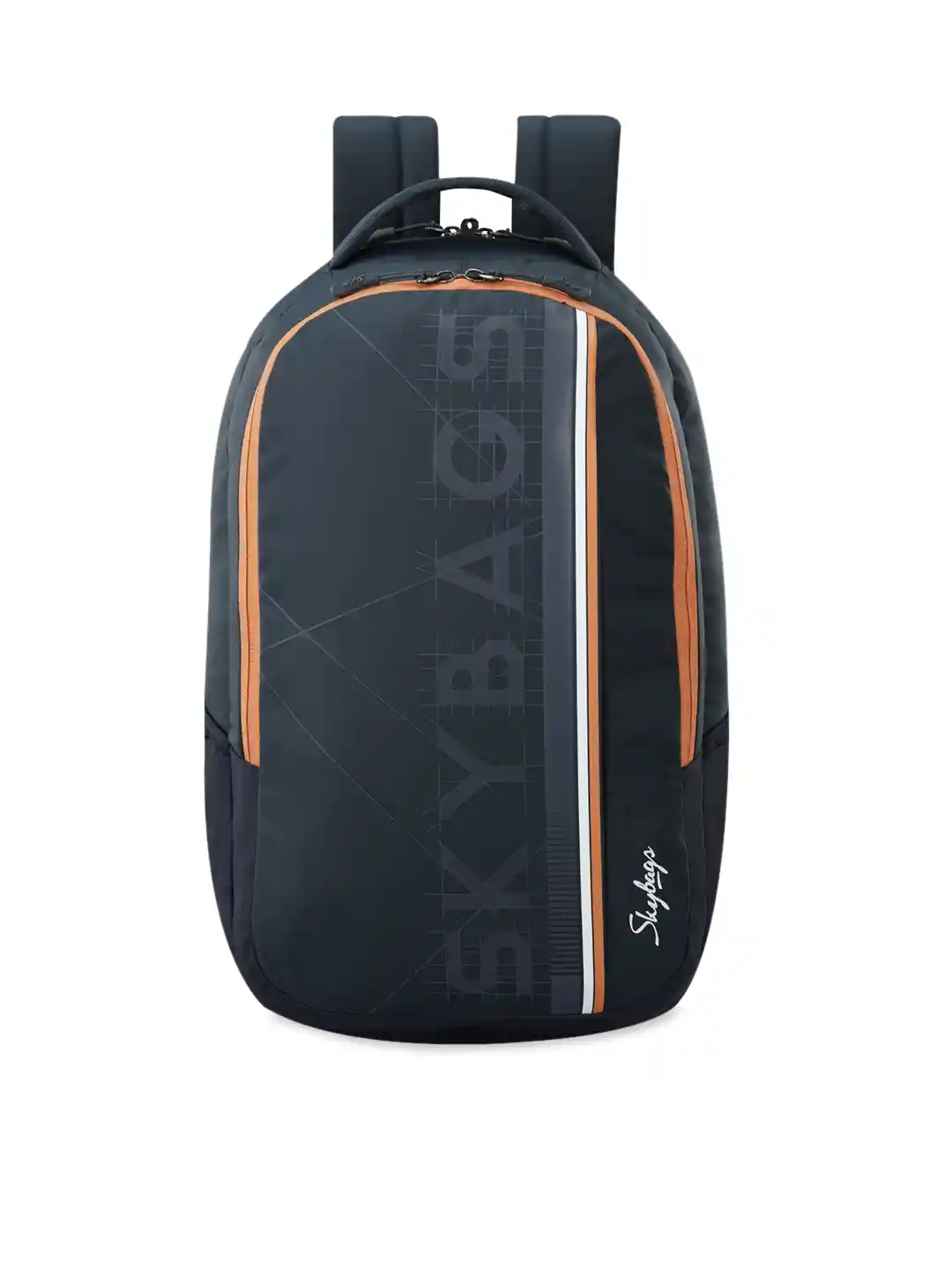 Bhaderwah Campus Myntra College Bags For Mens Buy Skybags Unisex