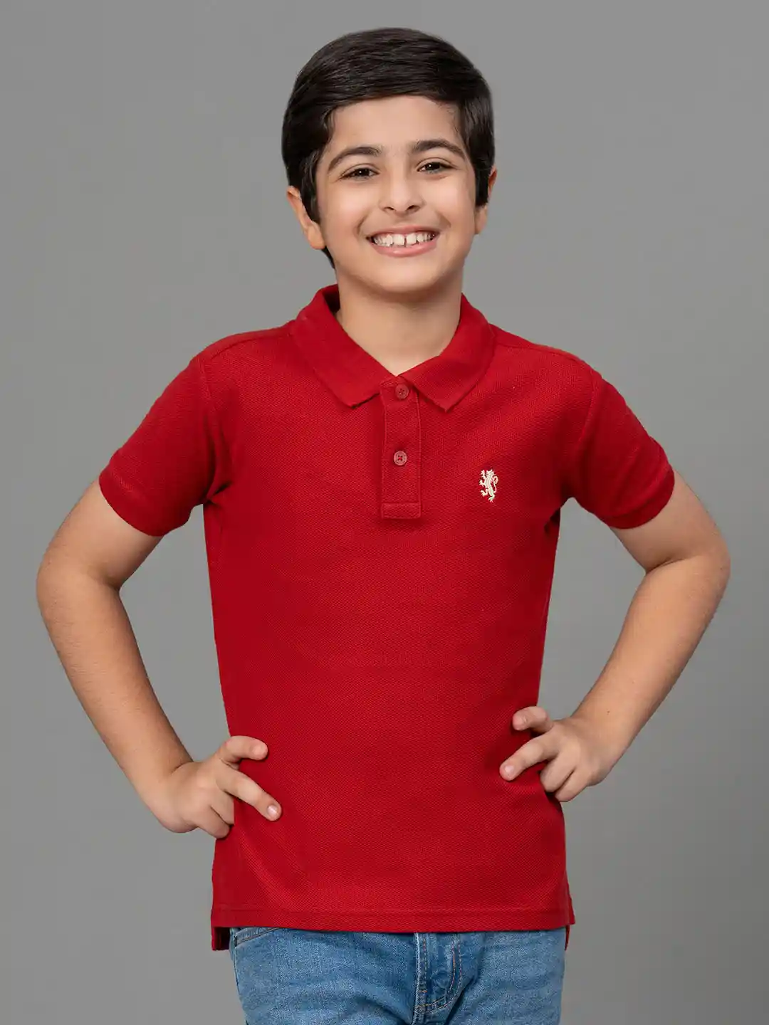 Buy Red Tape Boys Maroon Solid Polo Collar T-shirt Tshirts for
