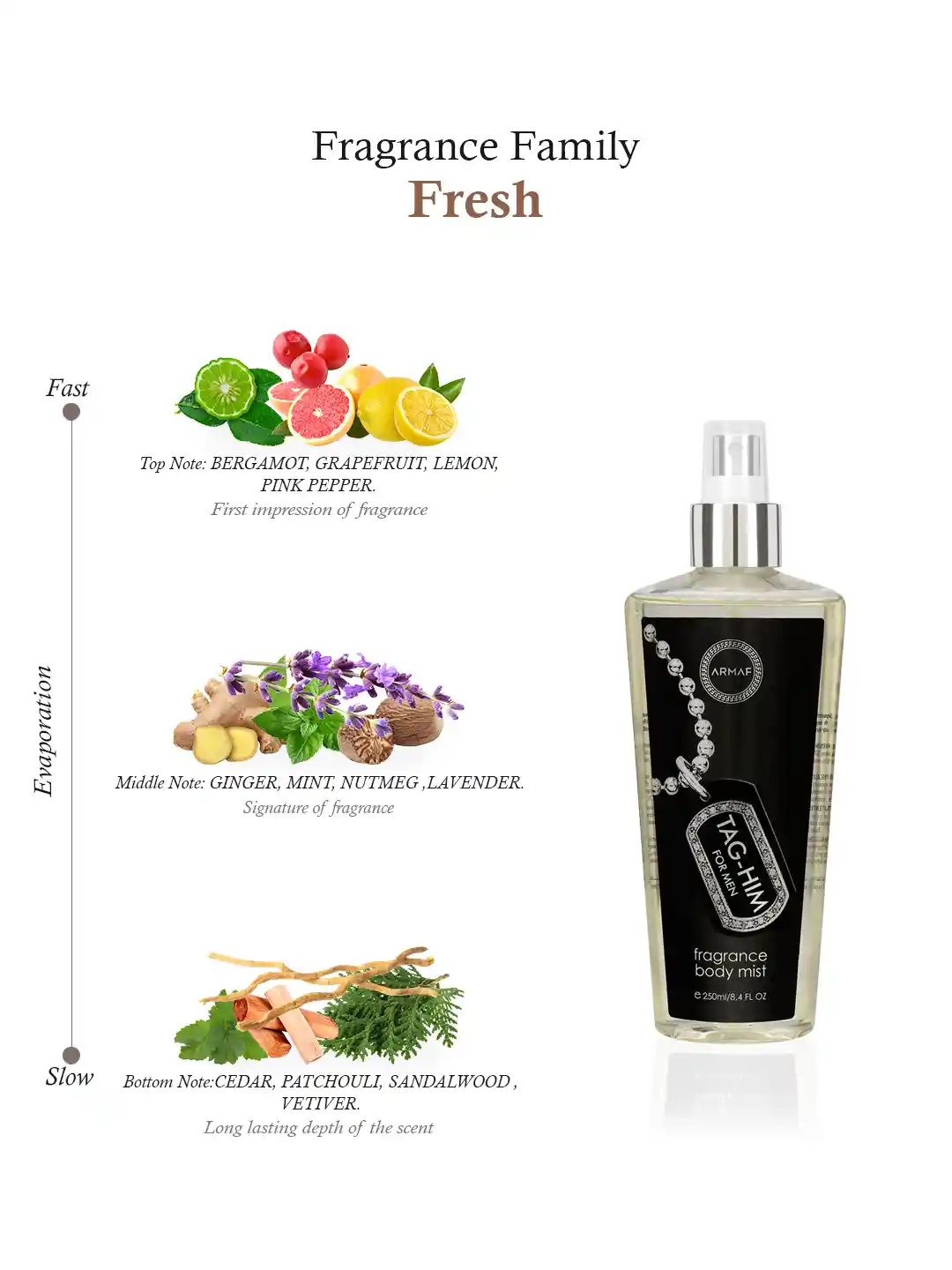 Buy Armaf Men Tag Him Fragrance Body Spray 250 ml Body Mist and