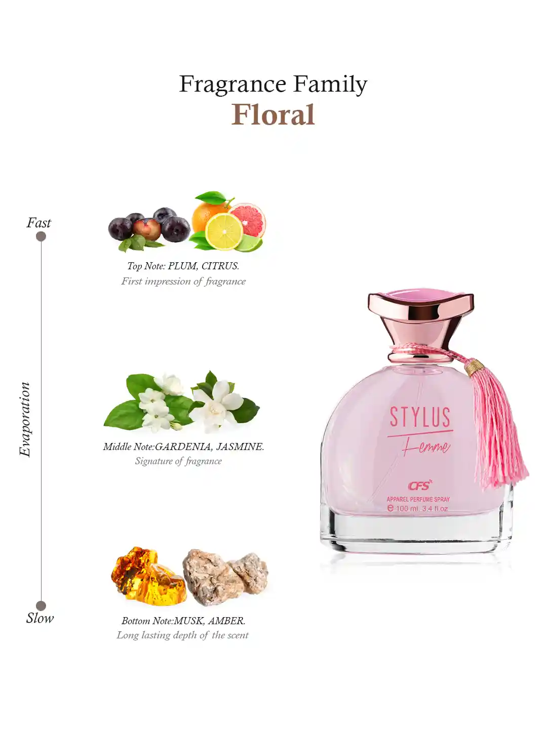Buy CFS STYLUS Long Lasting Perfume 100ml Perfume for Women